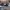 Sepatu Pesta Anak Perempuan Size 33. Fedora Shoes photo 2