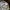 realtree cap Jackson Country photo 7