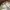 realtree cap Jackson Country photo 6