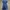 Casual Casual dress Wanita navy blue photo 3