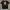 Kaos Adidas x Hagt photo 3