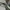 NEW BALANCE JJJJOUND 990V3 OLIVE SNEAKERS , NEW BALANCE JJJO photo 8