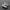 nike jordan photo 1
