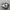 nike jordan photo 1