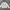 Crewneck Kangol Ori photo 1
