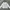 Crewneck Kangol Ori