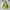 Japanese brand Vintage Y2K Handbag Wanita green photo 2