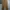 Carpenter pants by Wesco photo 2