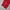 Thomaston Carpenter Corduroy Pants Red photo 4
