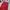 Thomaston Carpenter Corduroy Pants Red