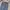 Uniqlo Blue Jeans Regular Fit photo 5