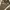 knit brown photo 2
