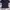 Navy crop photo 2