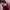 ADIDAS FORUM 84 HIGH UNIVERSITY RED SECOND 42  photo 7
