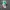 NIKE KYRIE 5 TEAL WHITE SECOND 42  photo 4