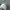 NIKE KYRIE 5 TEAL WHITE SECOND 42  photo 8