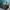 NIKE KYRIE 5 TEAL WHITE SECOND 42  photo 5
