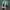 NIKE KYRIE 5 TEAL WHITE SECOND 42  photo 3