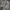 Varsity Nike Tech Fleece LightGrey Middle Pocket photo 2