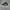 ADIDAS PRO ELEVATE CORE BLACK RETRO BASKETBALL SECOND 42  photo 1