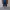 Jorts cross colour photo 1