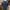 ELLE Vintage Casual Polo shirt Pria navy photo 1