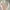 Sawako One Set Dress