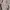 Japanese brand Vintage Track jacket Pria cream tan photo 3