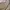 Vintage Bomber jacket Pria cream tan photo 7