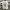 Adidas Campus 00s Low  shoes Comfor photo 5