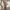 Uniqlo U wide cargo pant photo 2