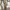 Uniqlo U Wide Cargo Pant