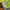 KAOS HAVE A GOOD TIME SMALL LOGO photo 3
