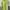 KAOS HAVE A GOOD TIME SMALL LOGO photo 1