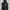 Adidas Sport Essentials Climalite photo 1