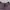 Le Coq Sportif T-shirt Pria purple photo 4