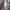 Dickies Double Pocket Long Work Shirt photo 5