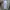 Dickies Double Pocket Long Work Shirt photo 6