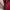 Oneill Freedom Gorpcore Snowboard Jacket photo 3