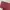 Adidas Center Sportwear Pria Maroon Polyester photo 3