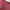 Adidas Center Sportwear Pria Maroon Polyester photo 2