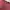 Adidas Center Sportwear Pria Maroon Polyester