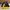Sepatu Yellow Corn YS-001 Black Red original photo 6