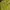 Casual Midi dress Wanita green photo 3