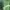 Sportswear Casual Casual shirt Pria green photo 3