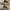 Adidas Supercourt Cloud White photo 7