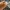 Long pant ootj photo 5