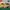 CATERPILLAR® Casual Shoes Classic photo 1