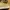 CATERPILLAR® Casual Shoes Classic photo 6
