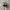 Adidas Spezial Handball Grey White photo 4